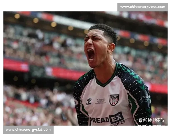 前英超裁判发声：桑德兰绝杀球越位应取消